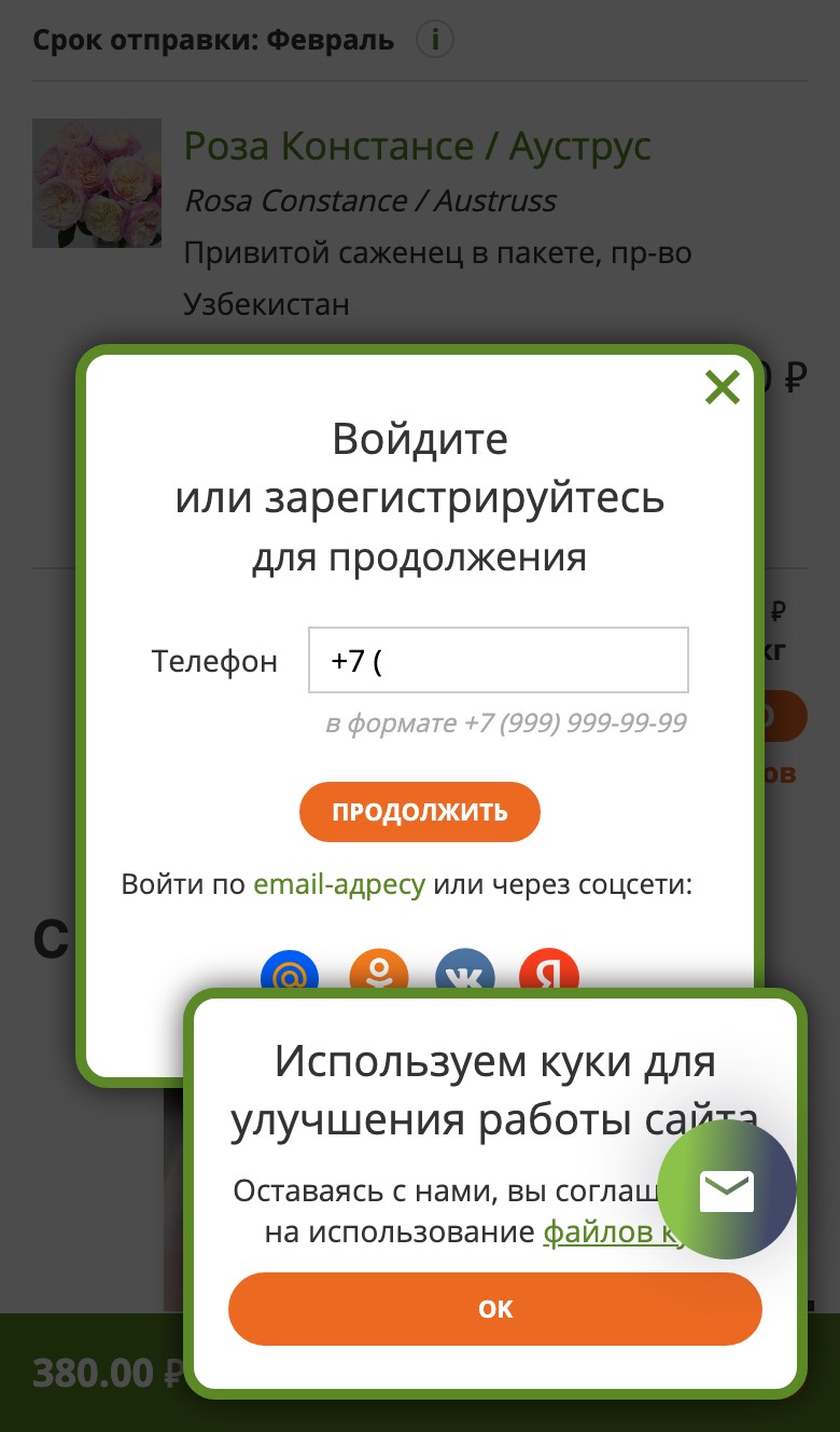 Вход перед оформлением на Подворье